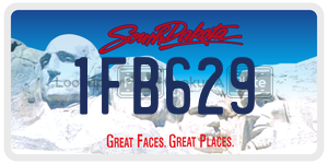 1FB629  license plate in SD