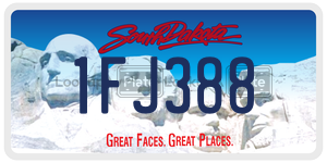 1FJ388  license plate in SD