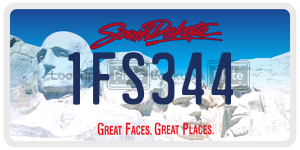 1FS344  license plate in SD