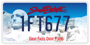 1FT677  license plate in SD