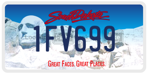 1FV699  license plate in SD