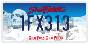 1FX313  license plate in SD