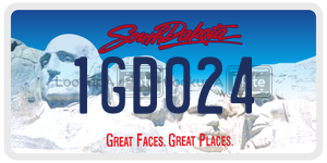 1GD024  license plate in SD