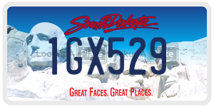1GX529  license plate in SD