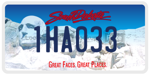 1HA033  license plate in SD