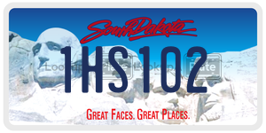 1HS102  license plate in SD