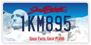 1KM895  license plate in SD