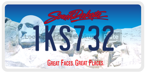 1KS732  license plate in SD