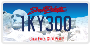 1KY300  license plate in SD