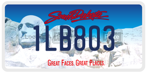 1LB803  license plate in SD