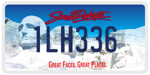 1LH336  license plate in SD