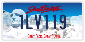 1LV119  license plate in SD