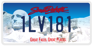 1LV181  license plate in SD