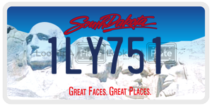 1LY751  license plate in SD