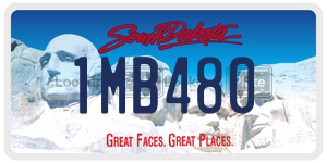 1MB480  license plate in SD