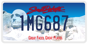 1MG687  license plate in SD