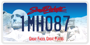 1MH087  license plate in SD