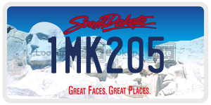 1MK205  license plate in SD