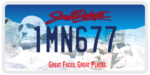 1MN677  license plate in SD