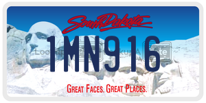 1MN916  license plate in SD
