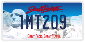 1MT209  license plate in SD