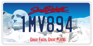 1MV894  license plate in SD