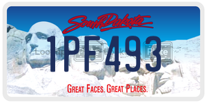 1PF493  license plate in SD