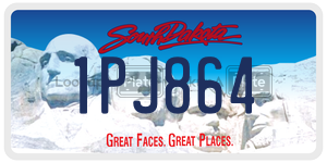 1PJ864  license plate in SD