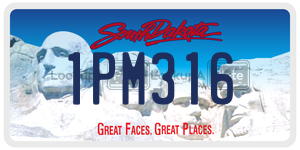 1PM316  license plate in SD