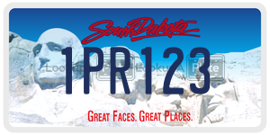 1PR123  license plate in SD