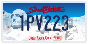 1PV223  license plate in SD