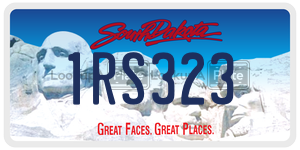 1RS323  license plate in SD