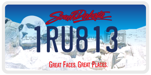 1RU813  license plate in SD
