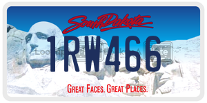 1RW466  license plate in SD