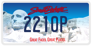 2210P  license plate in SD