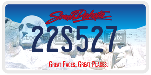 22S527  license plate in SD
