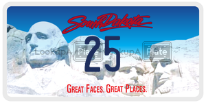 25  license plate in SD