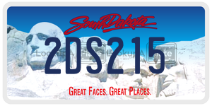 2DS215  license plate in SD