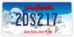 2DS217  license plate in SD
