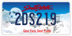 2DS219  license plate in SD