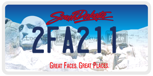 2FA211  license plate in SD