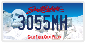 3055MH  license plate in SD