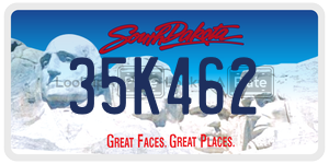 35K462  license plate in SD