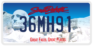 36MH91  license plate in SD