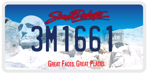 3M1661  license plate in SD