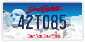 42T085  license plate in SD
