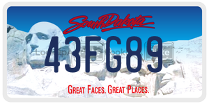 43FG89  license plate in SD