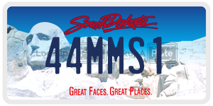44MMS1  license plate in SD