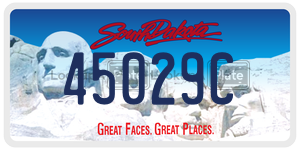 45029C  license plate in SD