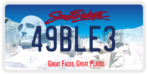 49BLE3  license plate in SD